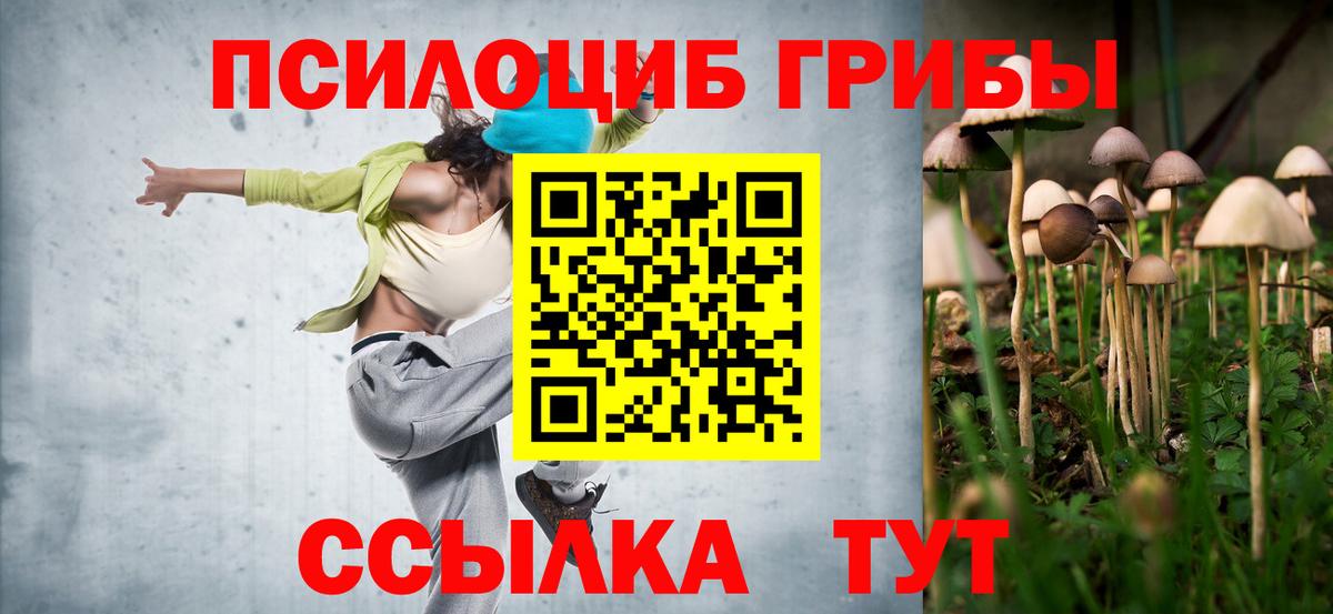 Малоярославец  закладка  Вход с VPN  Галлюциногенные грибы прущие грибы 