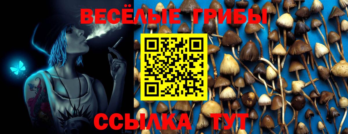 Галлюциногенные грибы прущие грибы Малоярославец
